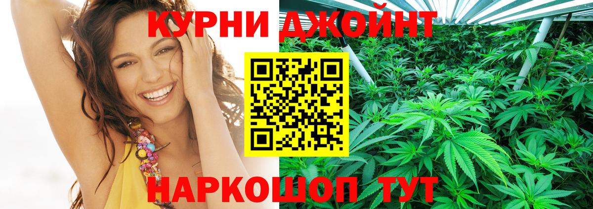Каннабис SATIVA & INDICA  Марихуана гибрид  Канабис семена  МАРИХУАНА Ganja  Вход с VPN  Старый Оскол 